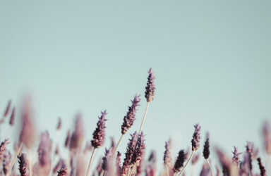 Compassionate addiction recovery support and individual therapy in Topeka, Kansas."